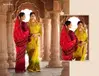 Ramrasiya Mor Chhadi Weaving Printed Chiffon Silk Saree Catalog
